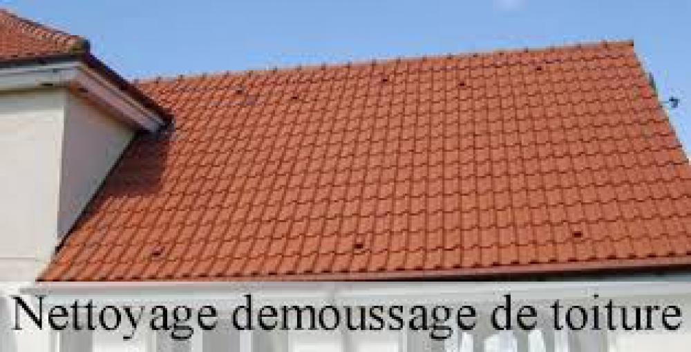 nettoyage et démoussage de toiture