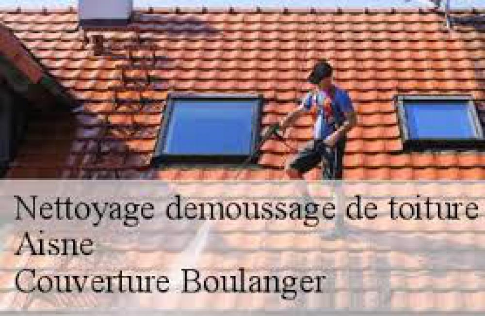 Démoussage et nettoyage de toiture