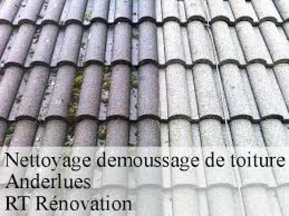 NETTOYAGE ET DEMOUSSAGE DE TOITURE