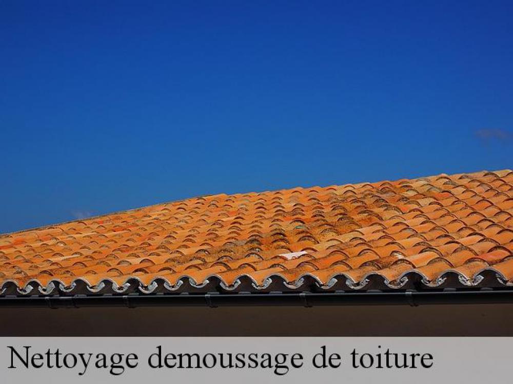 Nettoyage et demoussage 34