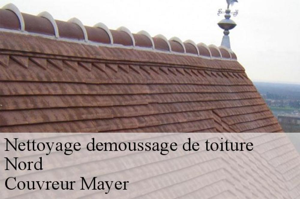 Nettoyage demoussage de toiture