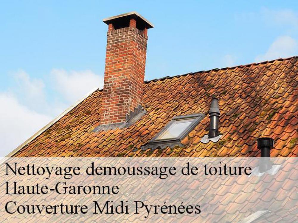 Nettoyage demoussage de toiture