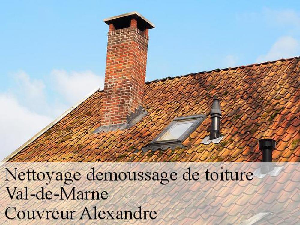 Nettoyage demoussage de toiture 