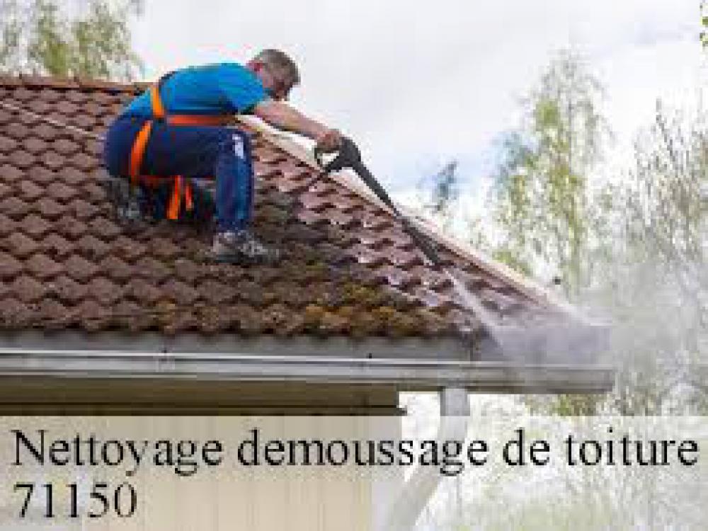 Nettoyage et démoussage toiture