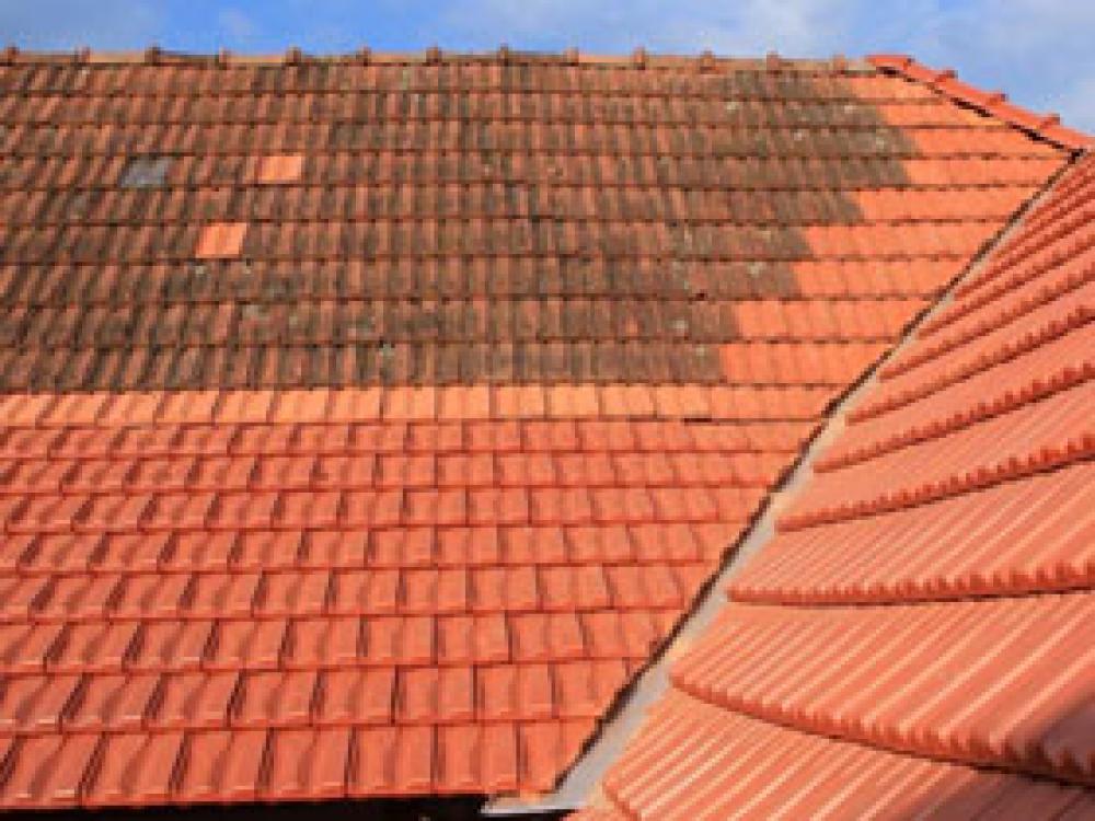 démoussage de toiture