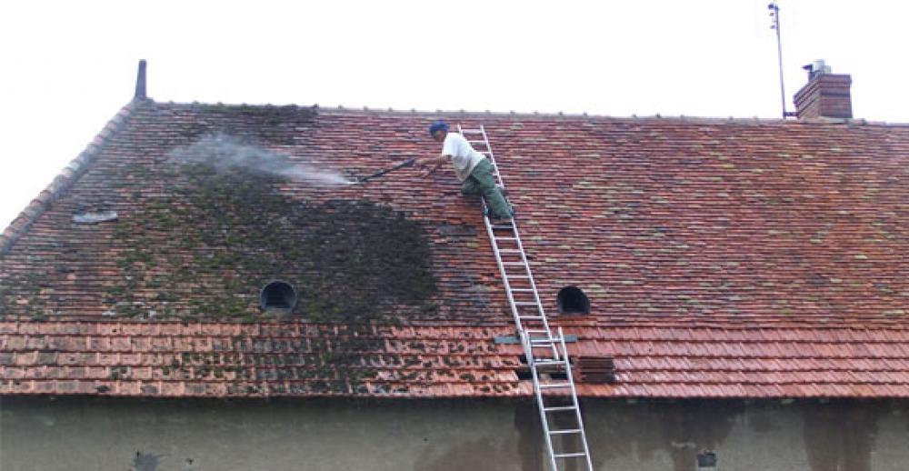 démoussage de toiture 