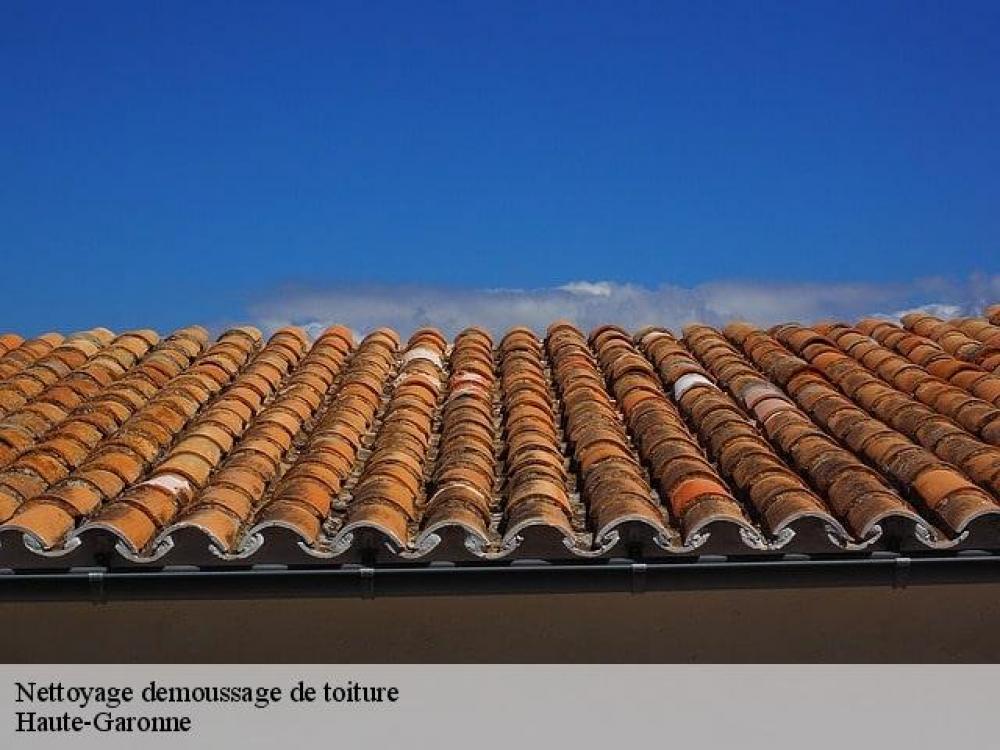 nettoyage de toiture 
