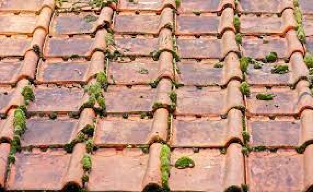 Nettoyage démoussage de toiture Drôme FAYARD RENOVATION 26
