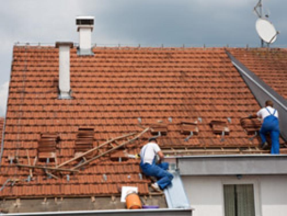 Nettoyage et Démoussage de Toiture Brou ETC Callewaert 