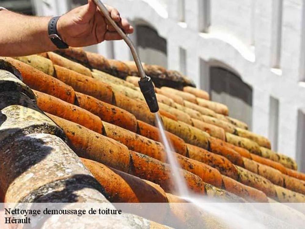 Artisan Hognon dans le 34 Hérault pour le démoussage net