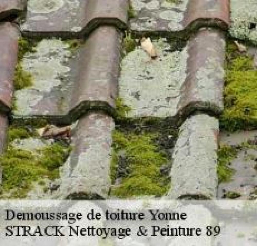 Nettoyage en Yonne? Contactez STRACK Nettoyage & Peinture 89