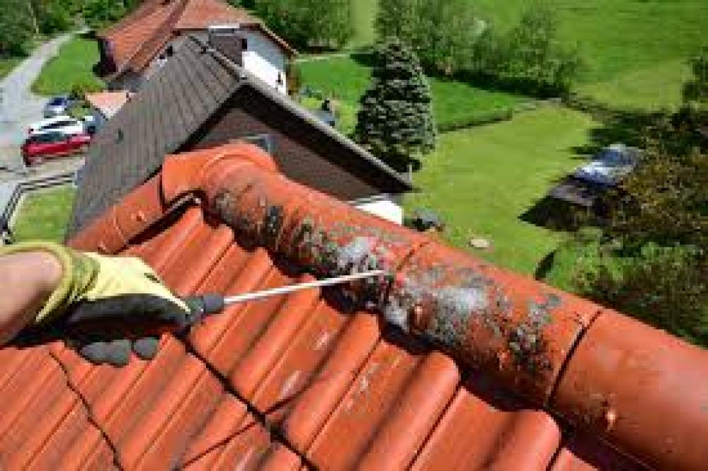 Nettoyage et démoussage de toiture 