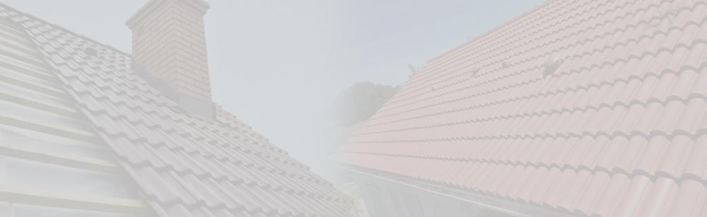 Démoussage expert Loir-et-Cher
